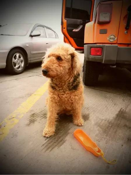 泰国清迈自驾游攻略,泰国到清迈自驾游最佳路线