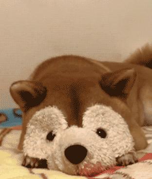 「笑多会怀孕」——一不小心滑了……