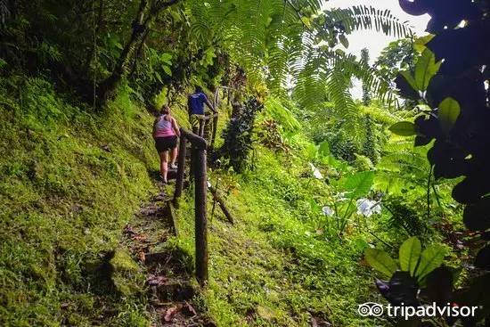 免签的海岛哪个好玩,斐济十大顶级海滩