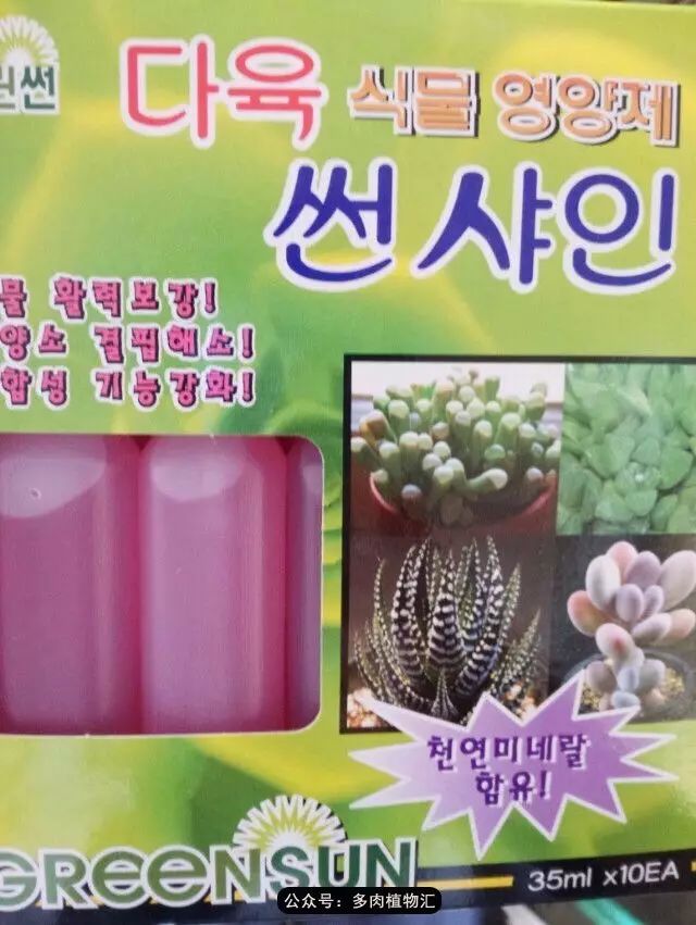 韩国如何养多肉,家庭养多肉用什么施肥