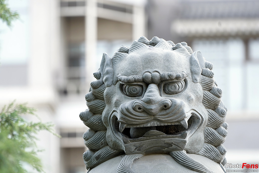 索尼g大师16-35镜头怎么样,索尼sel100400gm