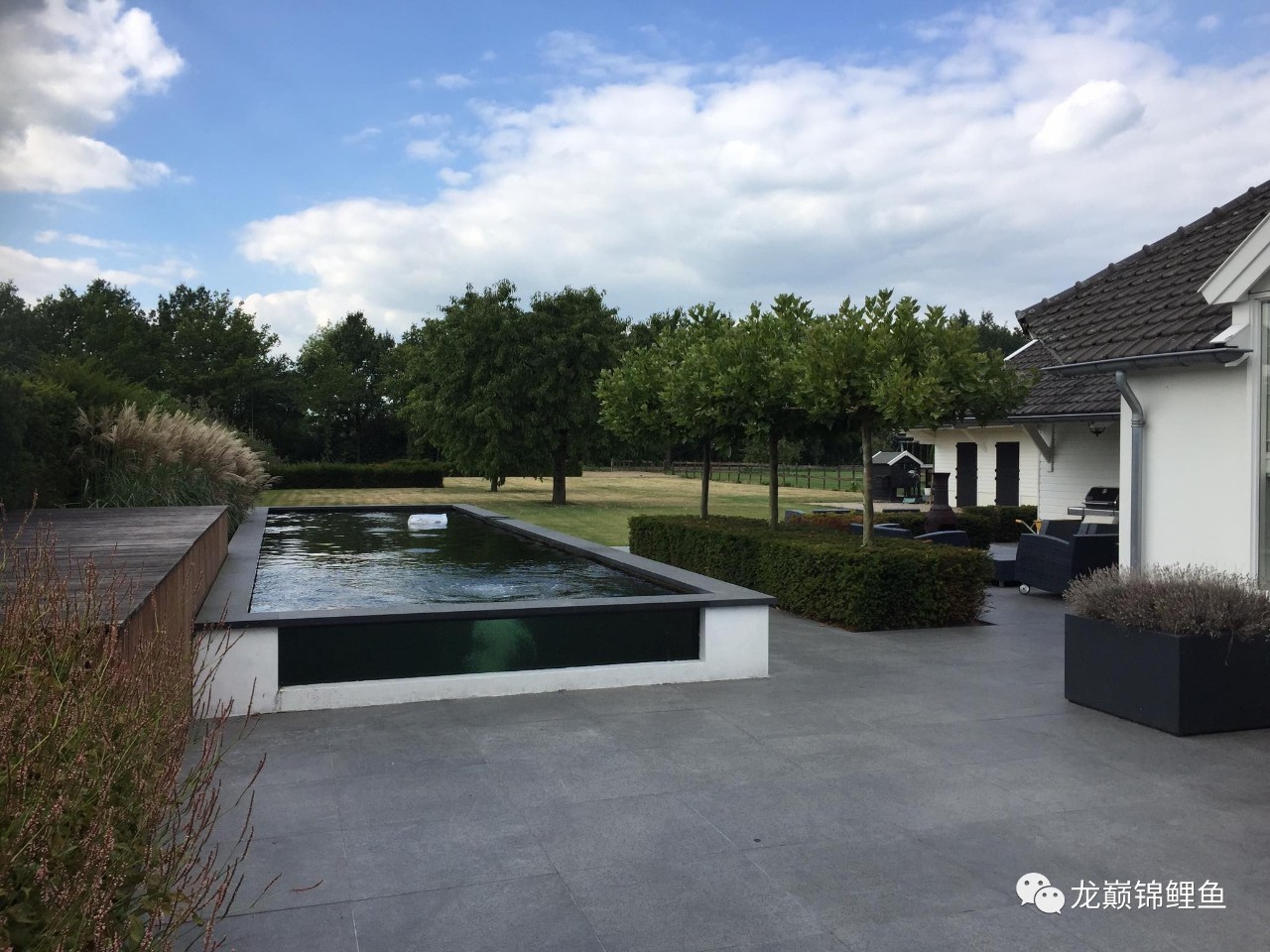 旧鱼池如何重新做防水,鱼池防水怎么做视频