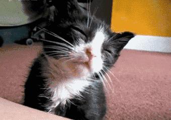 带您享受日立高品质生活,品质家居提高生活质感