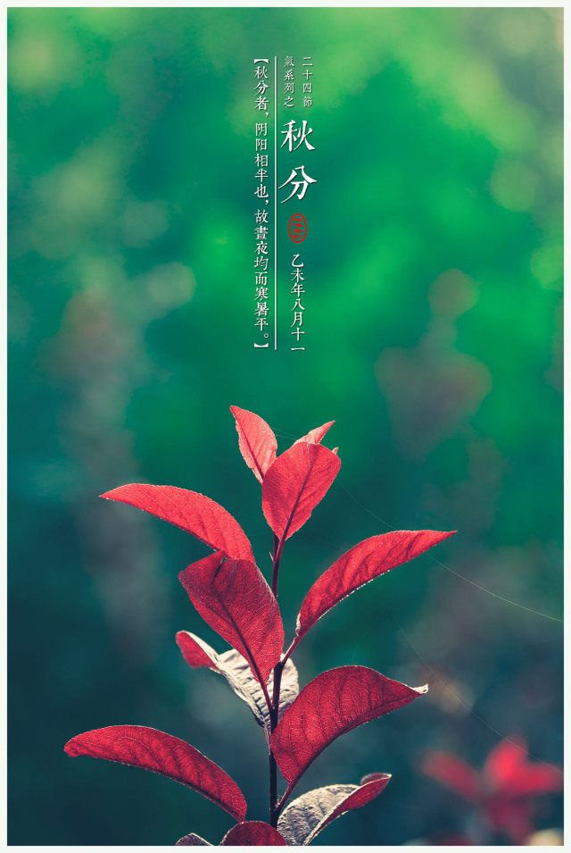 看看有关秋分的诗词,秋分的好文好诗