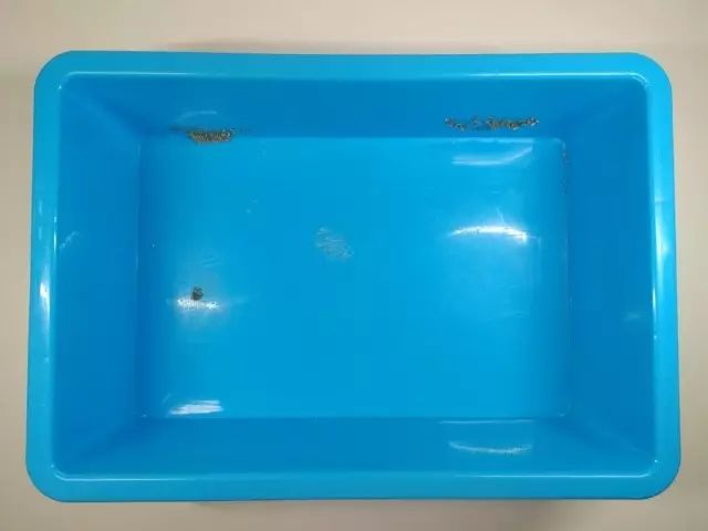 便宜好用膨润土,松木很不好吗