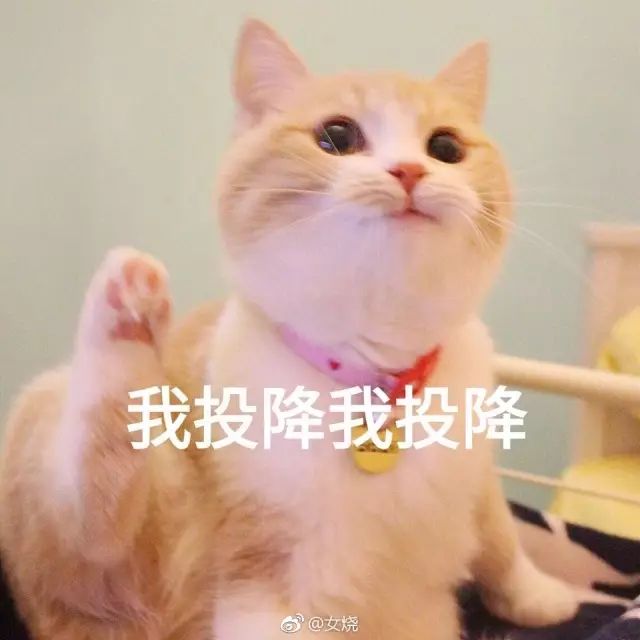 风很大又好用的化妆品,兰蔻小安瓶效果