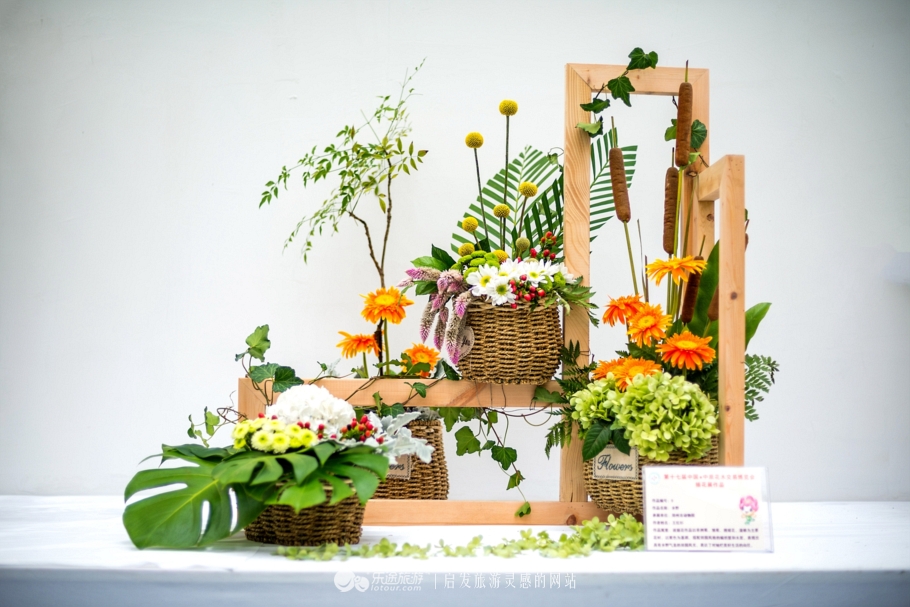 花朦胧雨朦胧鄢陵人17年倾情的花事