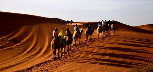 国庆额济纳旗旅游攻略,阿拉善国庆节游玩