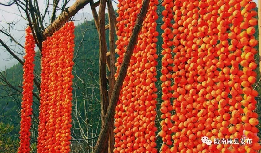 康县美丽的秋天,新县醉美秋景