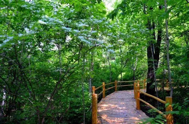 黑龙江新增试点大学,黑龙江省教育厅公示大学名单