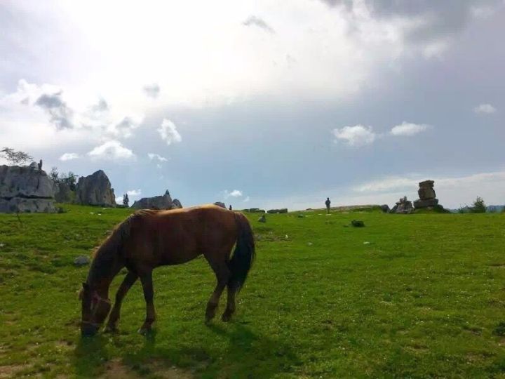 贡乡贡品展览会,工博会