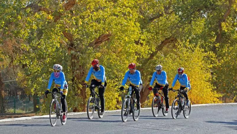 美丽的内蒙古额济纳胡杨林,恋上南山路美图