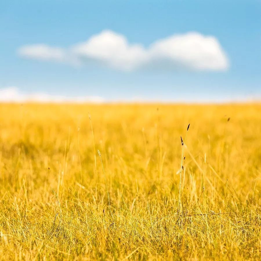 秋分,秋分早霜降迟