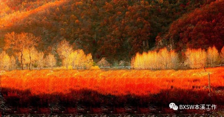 全年最美模式｜本溪预计接待游客650万人次交警送上全新“出行攻略”！