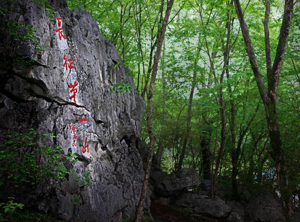 江西旅游三天游最佳路线,江西瑞金市旅游攻略