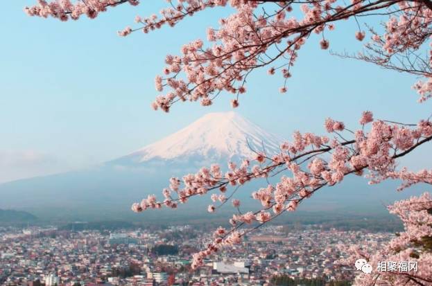 静冈山梨富士山,富士山与静冈山梨