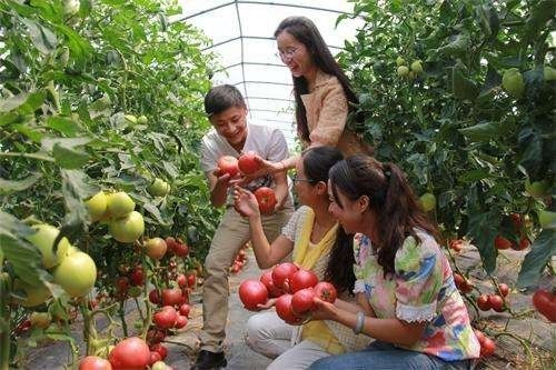 安徽医保门诊费新政策,安徽医保单病种付费