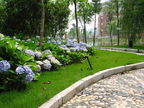 福州一中名校排名,福州一中全校排名