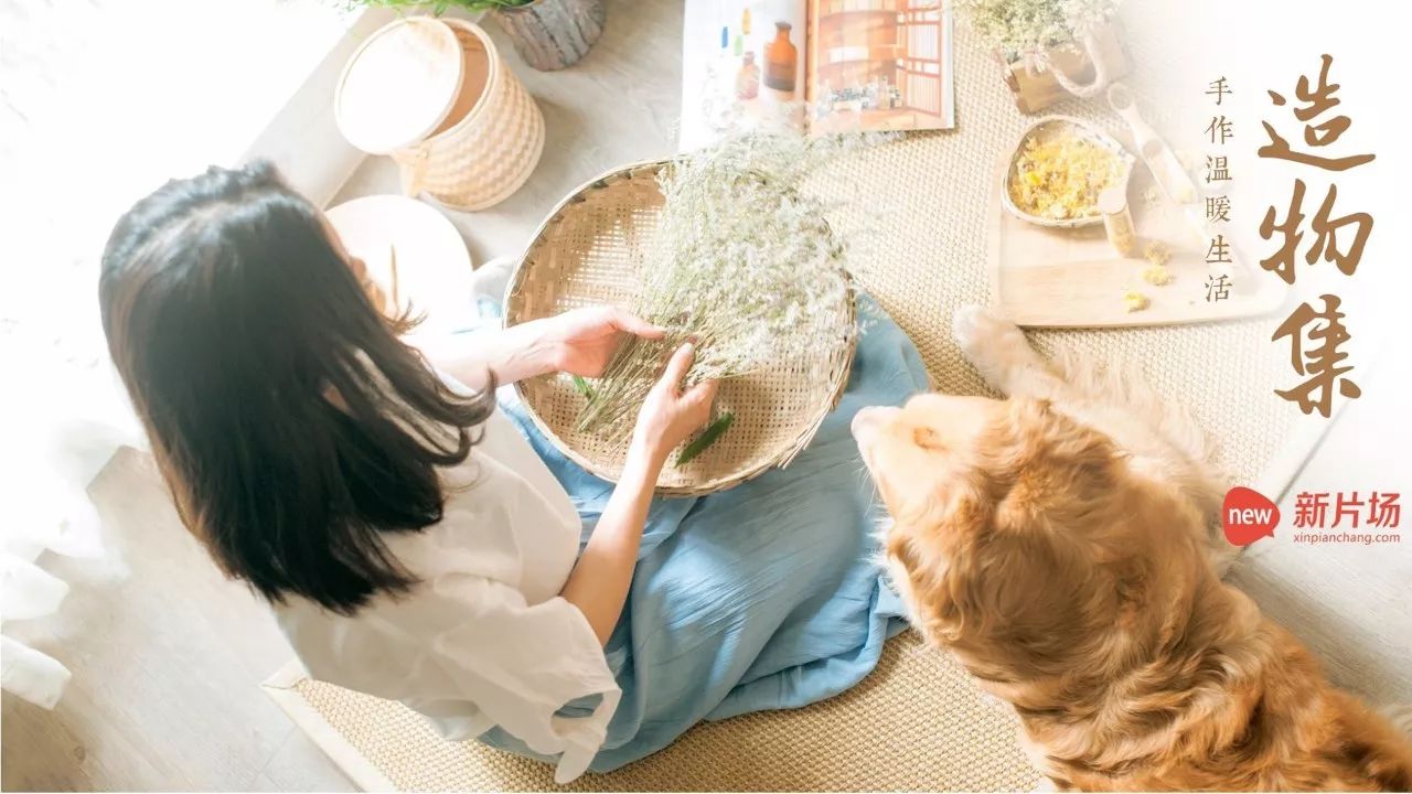 淘宝营销活动百万爆款在哪里,淘宝爆款营销