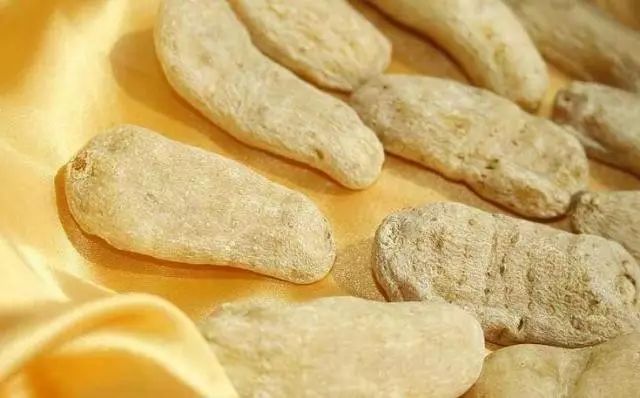 毕节大方天麻公司地址,贵州毕节天麻怎么样