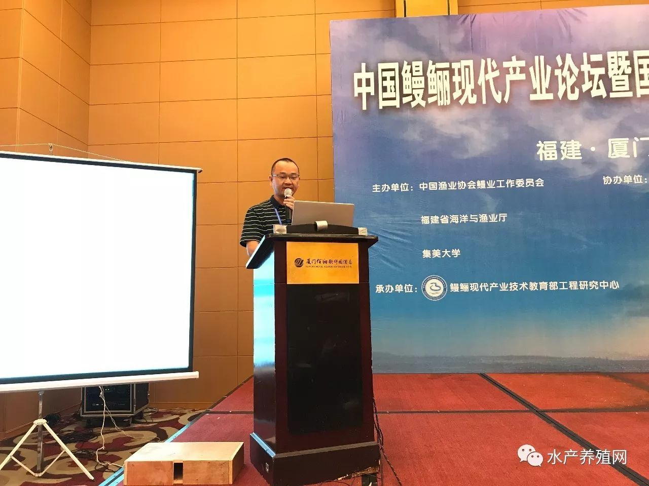 一半以上鳗鱼靠出口，被誉为“水产领域研究最后的一个大金矿”，繁华背后却有隐患