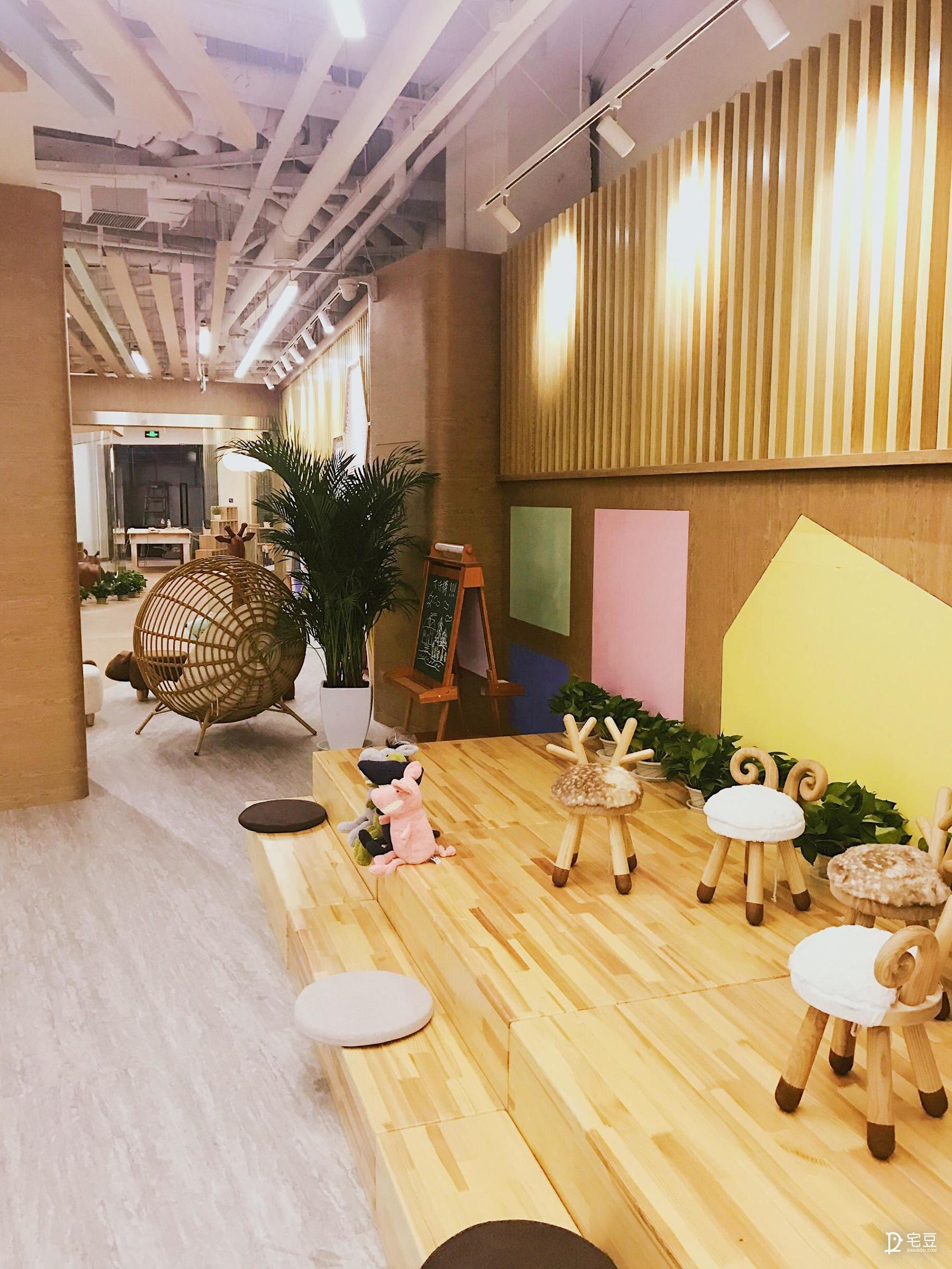 原始森林？动物园？银河系？托儿中心大改造