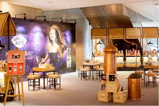 瀹犵矇鐙傞瓟涓婄嚎,瀹犵矇鐙傞瓟鏂版涓婃柊