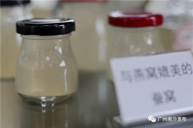 「关注」果味醒神水、蚕丝骨钉……这些高科技环保产品你听过吗？在南沙这家环保企业通通找得到！