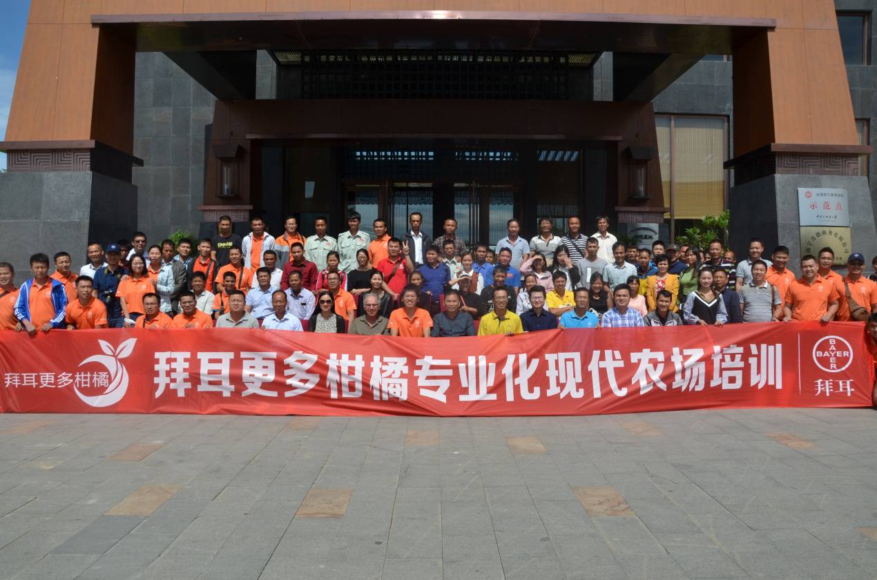 拜耳最新水果,拜耳更好柑橘品种
