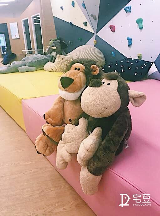 原始森林？动物园？银河系？托儿中心大改造