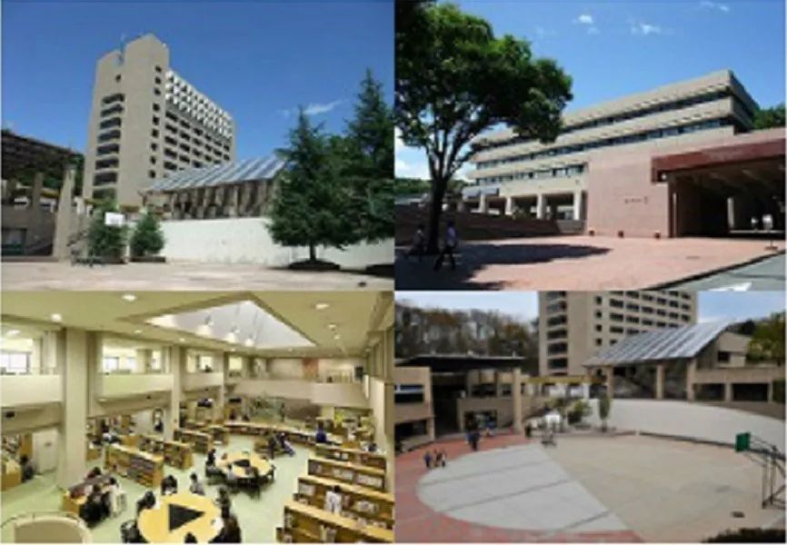 「留学」法政大学的中国留学生访谈