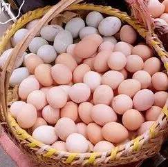 鸡鸭鹅蛋哪个营养价值最高,鸡鸭鹅哪个营养价值高
