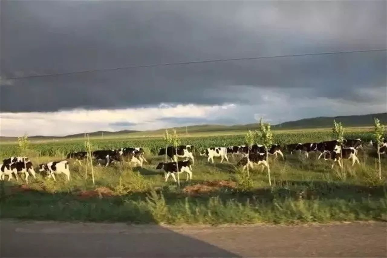 娲诲姏鏁欒偛寰佹枃,娲诲姏寰佹枃