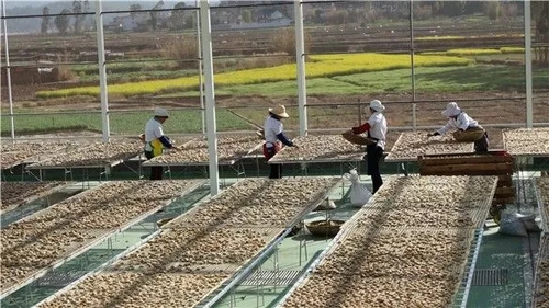 数十遍的工序成就一道菜,六十道工序