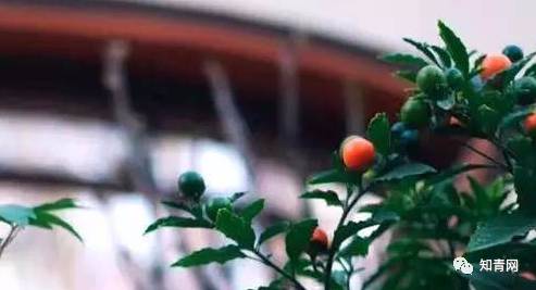 中国敬词大全完整版,敬词大全100个