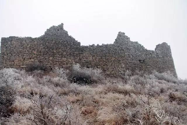 这些令人不可思议的冷知识,这些奇特的冷知识你们知道吗