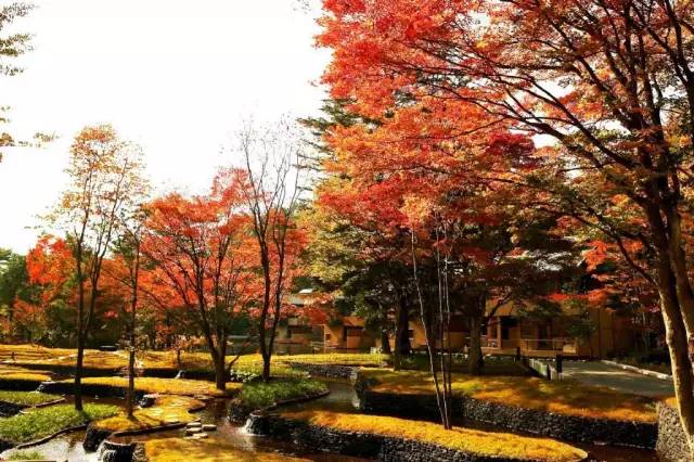 虹夕诺雅酒店测评,虹夕诺雅酒店是什么档次