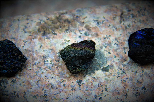 活动回顾｜欧帝亿主题狗狗巴士察哈尔草原深处探秘万年火山