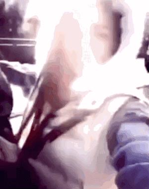 中国文化对青少年的意义 (青少年文化的现状与特点)