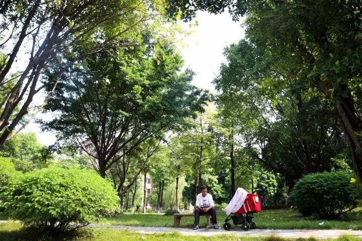 「村居行」荷叶田田，古韵悠扬！寻访禅城这条古村，沉醉不知归路