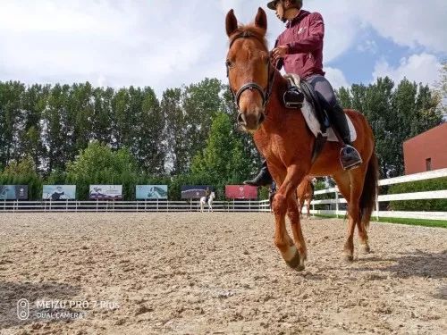 禹唐WEEKLY｜诺坎普接近获得4亿欧冠名费！J联赛球衣推出锁骨广告位！