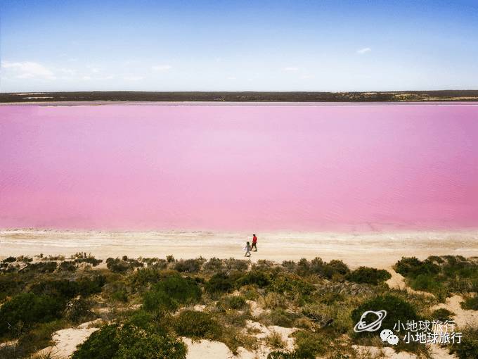 嘿，你吃过蓝蛋吗？