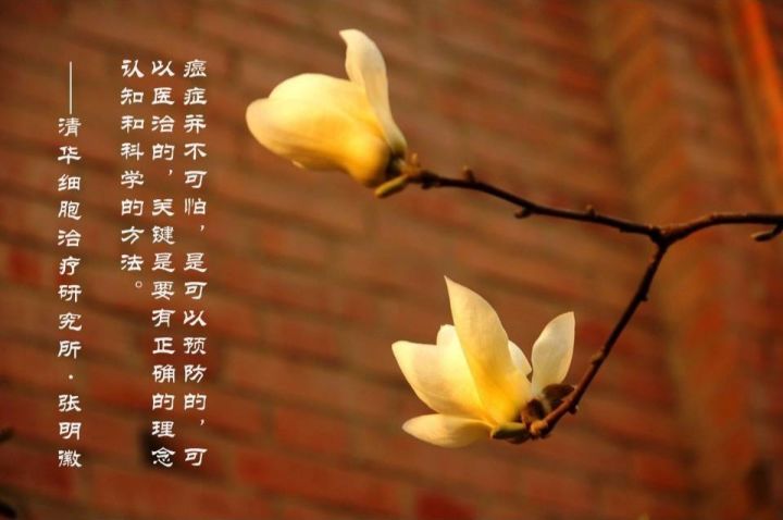 nkt治疗是免疫治疗吗,nkt治疗案例