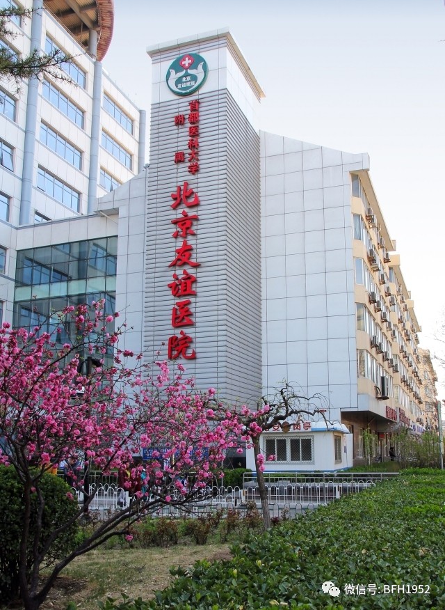 友谊医院泌尿外科田野,友谊医院田野