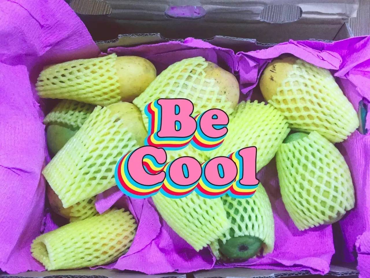 果园免费试吃,果园免费试吃大全