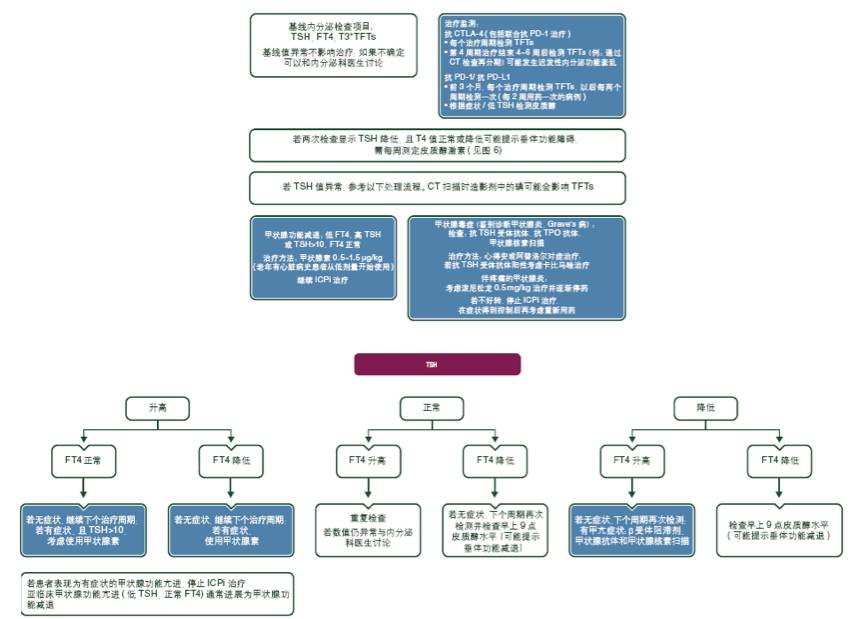 免疫治疗的毒性管理：ESMO诊断、治疗和随访临床实践指南（二）