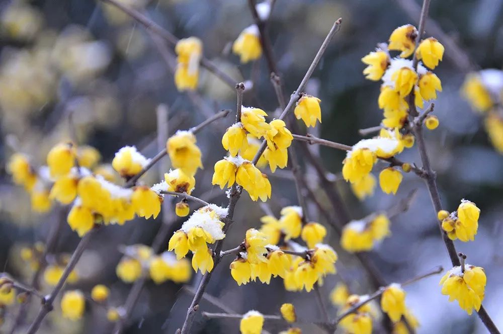 郑州冬日攻略,郑州夏天必做的十件事