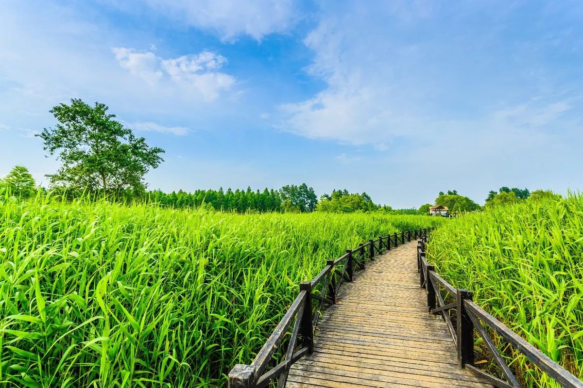 「居行」3个体育产业集聚区将落户浦东,快来看有你家附近的么→