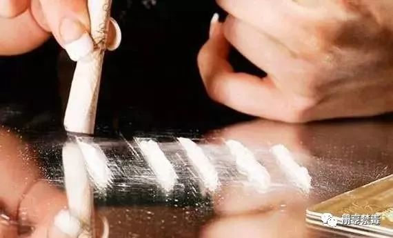 禁毒第十集,禁毒第10期