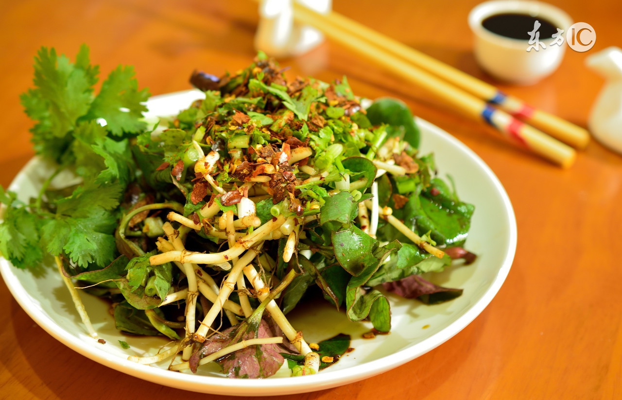 鱼腥草爱吃草,鱼腥草爱吃折耳根